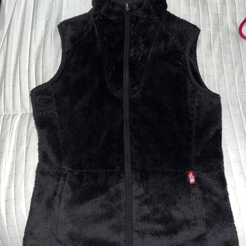 The north face vest